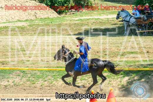 Mintakép 20260627-2988
