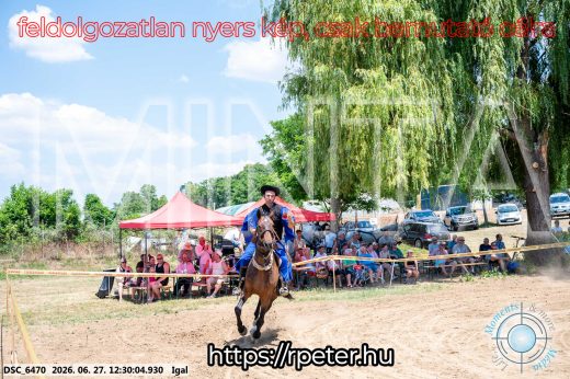 Mintakép 20260627-2994
