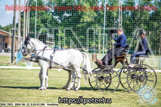 Mintakép 20260612-174
