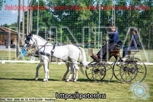 Mintakép 20260612-175
