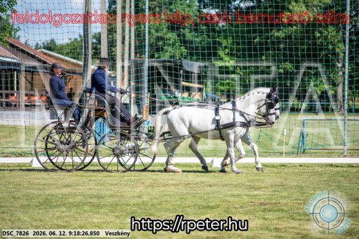 Mintakép 20260612-179