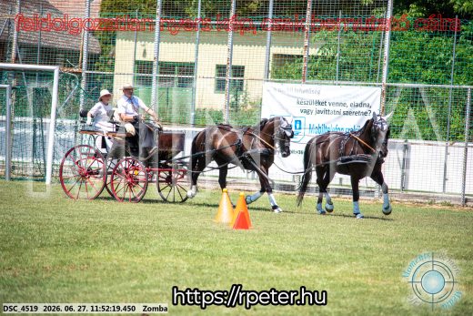 20260627-115219-DSC_4519.jpg