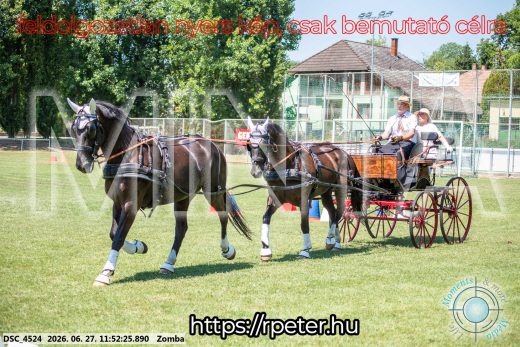 Mintakép 20260627-3070