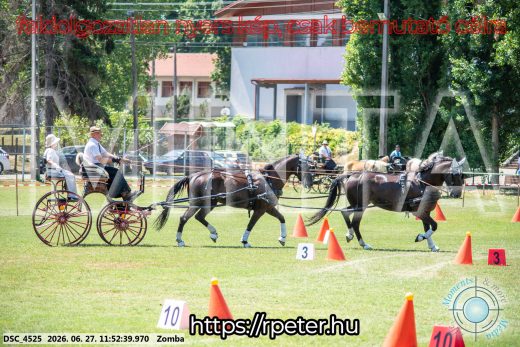 Mintakép 20260627-3071