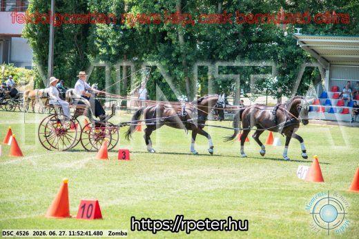 Mintakép 20260627-3072