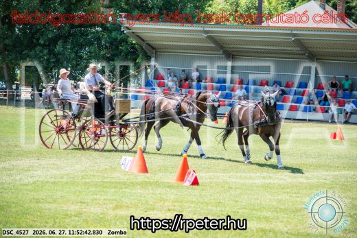 Mintakép 20260627-3073