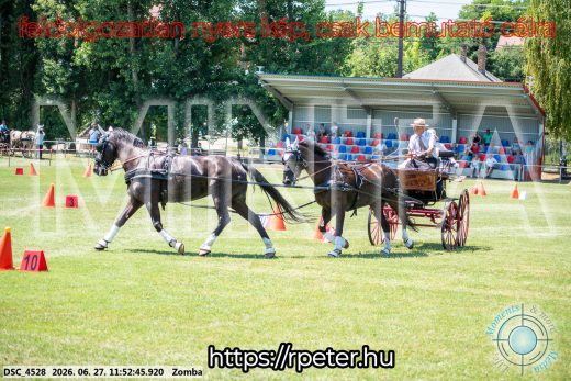 Mintakép 20260627-3074