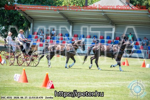 Mintakép 20260627-3077