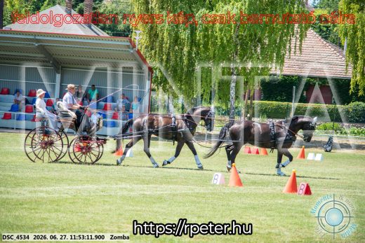 Mintakép 20260627-3080