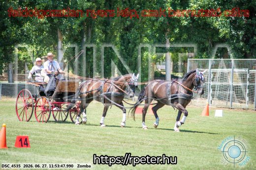 Mintakép 20260627-3081
