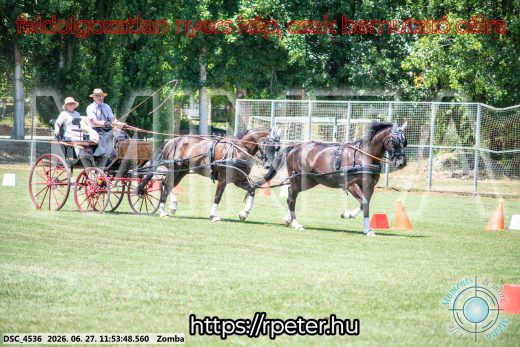Mintakép 20260627-3082