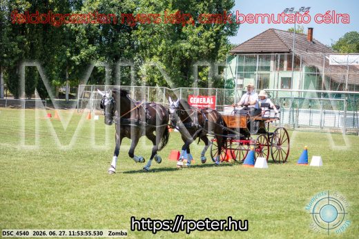 Mintakép 20260627-3085