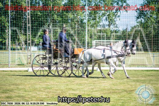 Mintakép 20260612-183