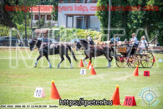 Mintakép 20260627-3086