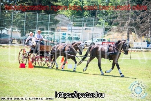 Mintakép 20260627-3087
