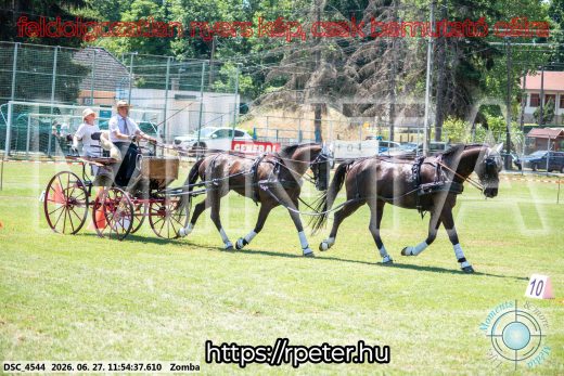 Mintakép 20260627-3088
