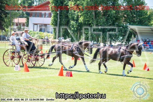 Mintakép 20260627-3092