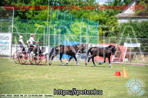 Mintakép 20260627-3096
