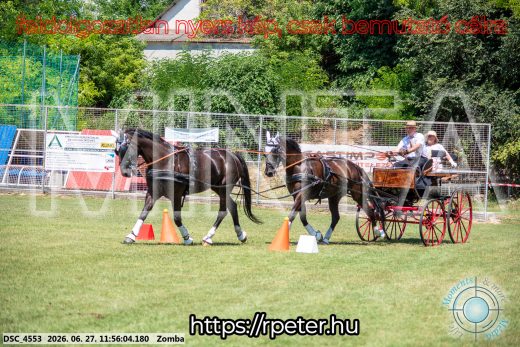 Mintakép 20260627-3097