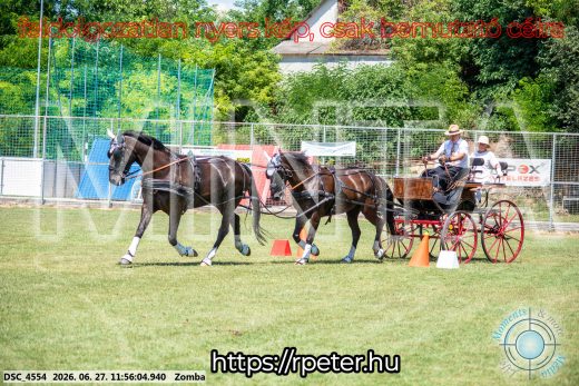 Mintakép 20260627-3098