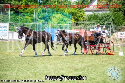 Mintakép 20260627-3099