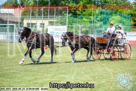 Mintakép 20260627-3101