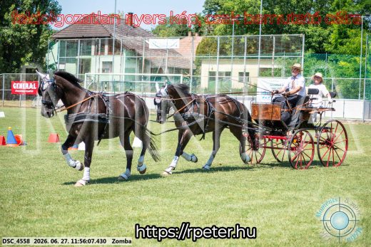 Mintakép 20260627-3102