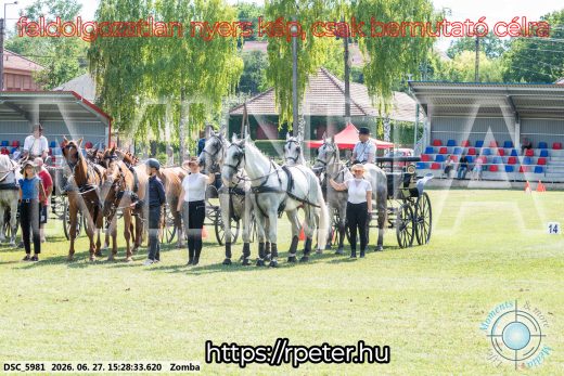 20260627-152833-DSC_5981.jpg