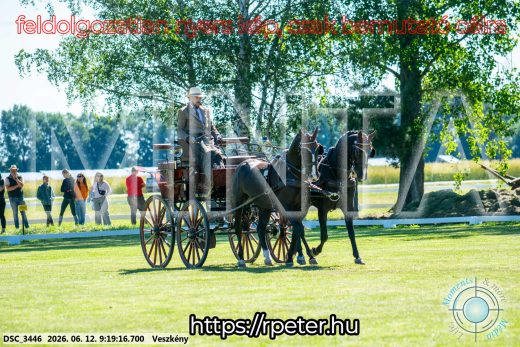Mintakép 20260612-185