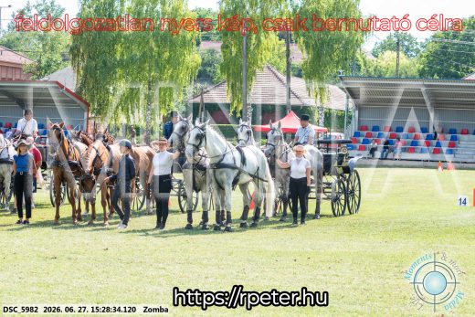 Mintakép 20260627-3106