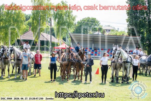 Mintakép 20260627-3108