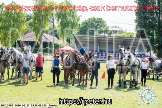 Mintakép 20260627-3110