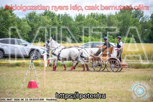 Mintakép 20260613-262