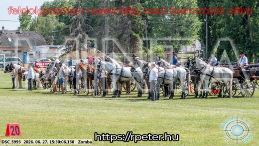 Mintakép 20260627-3116