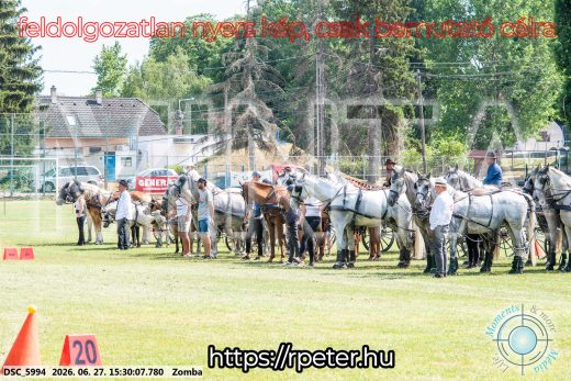 Mintakép 20260627-3117