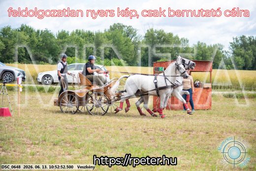 Mintakép 20260613-263