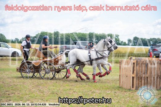 Mintakép 20260613-266