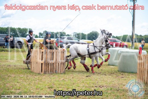 Mintakép 20260613-267