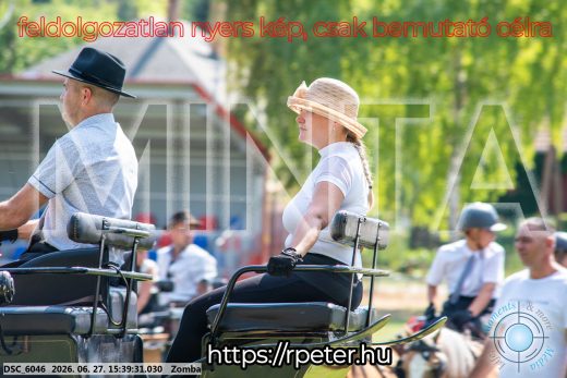 Mintakép 20260627-3167