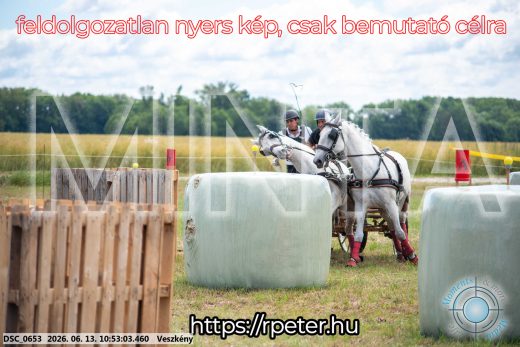 Mintakép 20260613-268