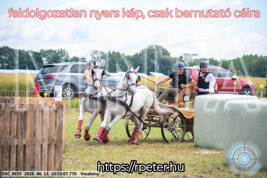Mintakép 20260613-270