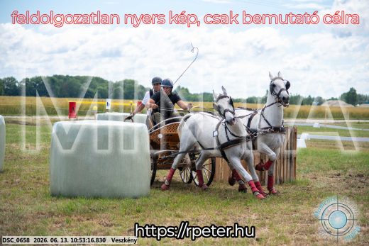 Mintakép 20260613-273