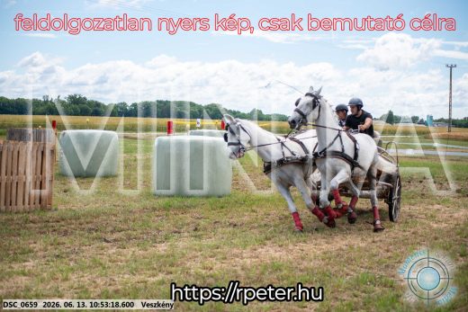 Mintakép 20260613-274