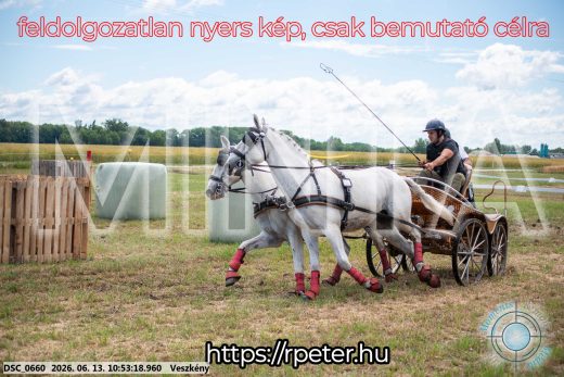 Mintakép 20260613-275