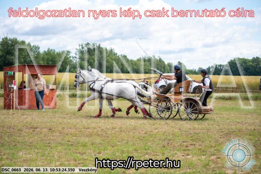 Mintakép 20260613-278