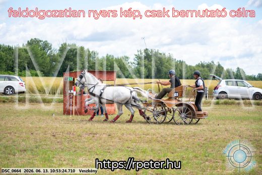 Mintakép 20260613-279