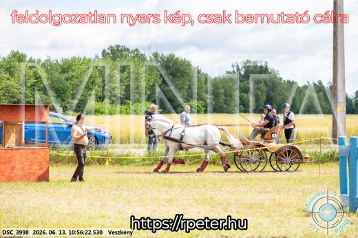 Mintakép 20260613-280