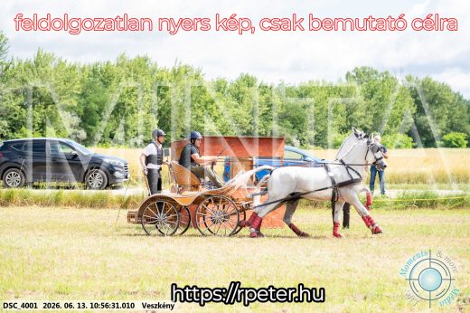 Mintakép 20260613-283