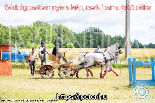 Mintakép 20260613-284