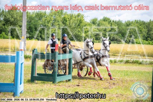 Mintakép 20260613-286